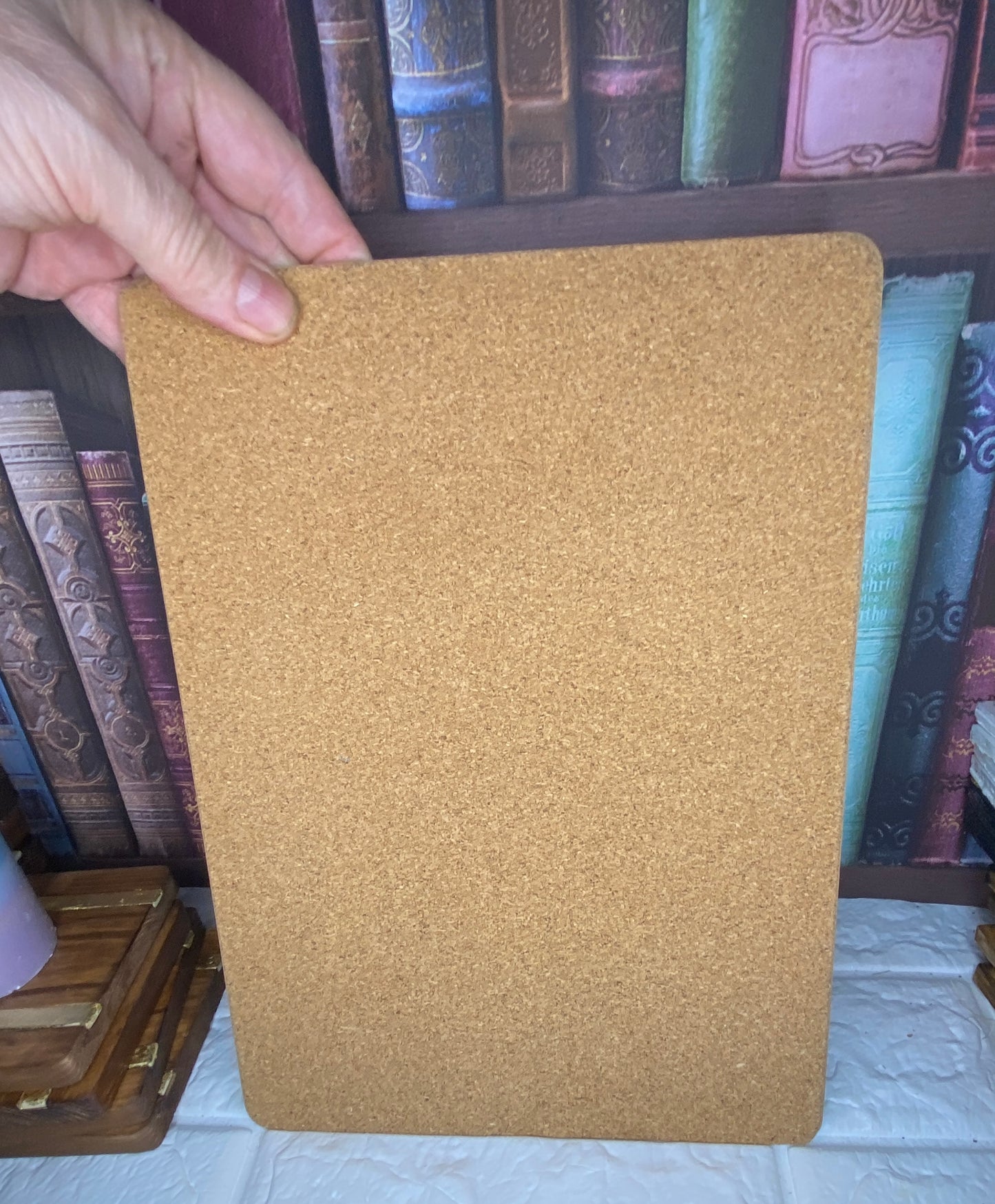 USS Enterprise placement mat