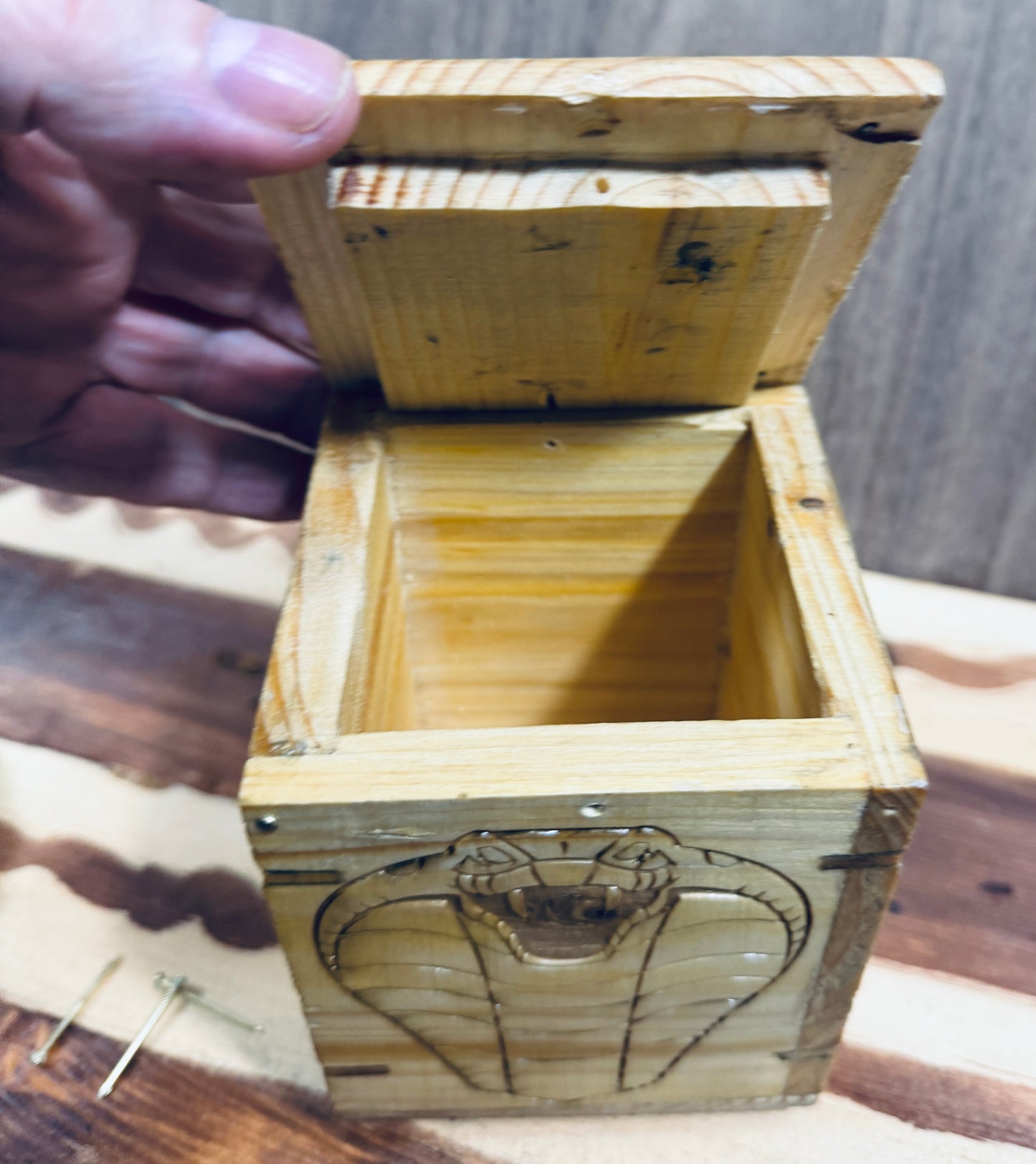 🐍 The Serpent’s Secret Box 🐍