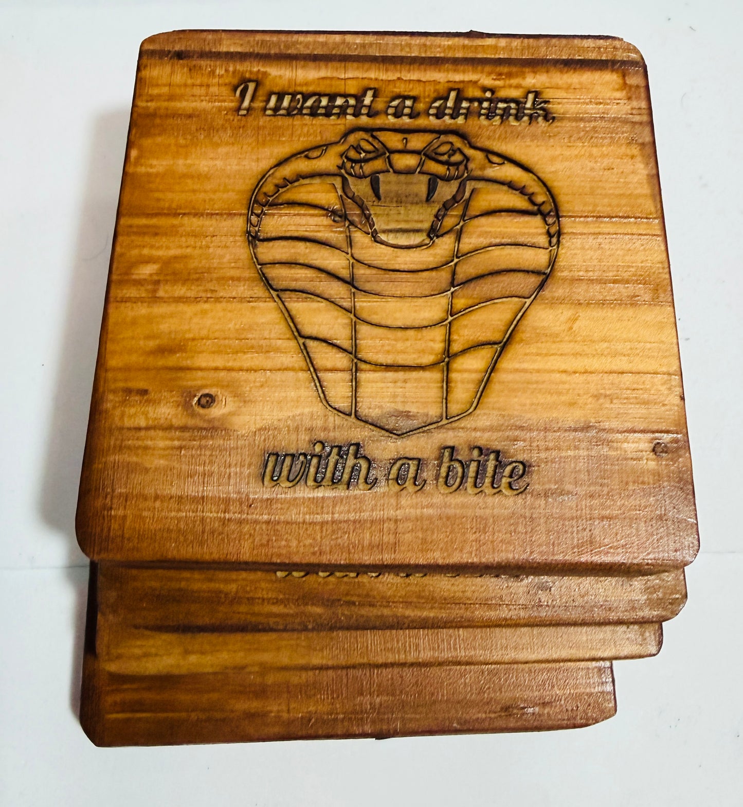 🐍 “I Want a Drink… With a Bite” Snake Coasters (Set of 4)